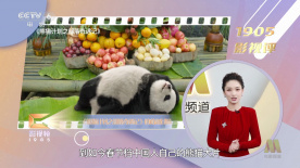 活动汇聚了行业导师与优秀青年演员，共同见证了新一代表演力量的集体亮相与专业传承。